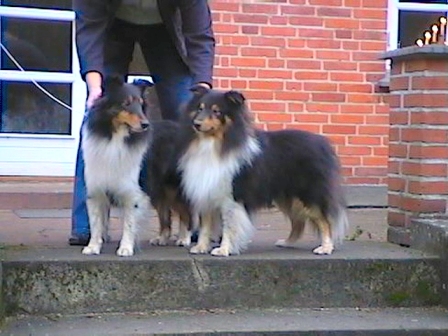Breezy (left) & Vante (right)